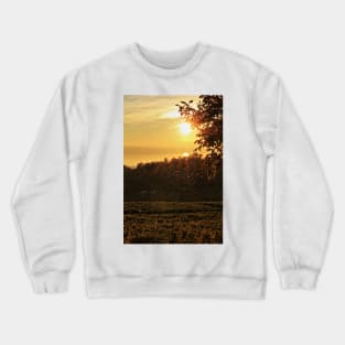 Flies in the Sunset - Lake Constance Crewneck Sweatshirt